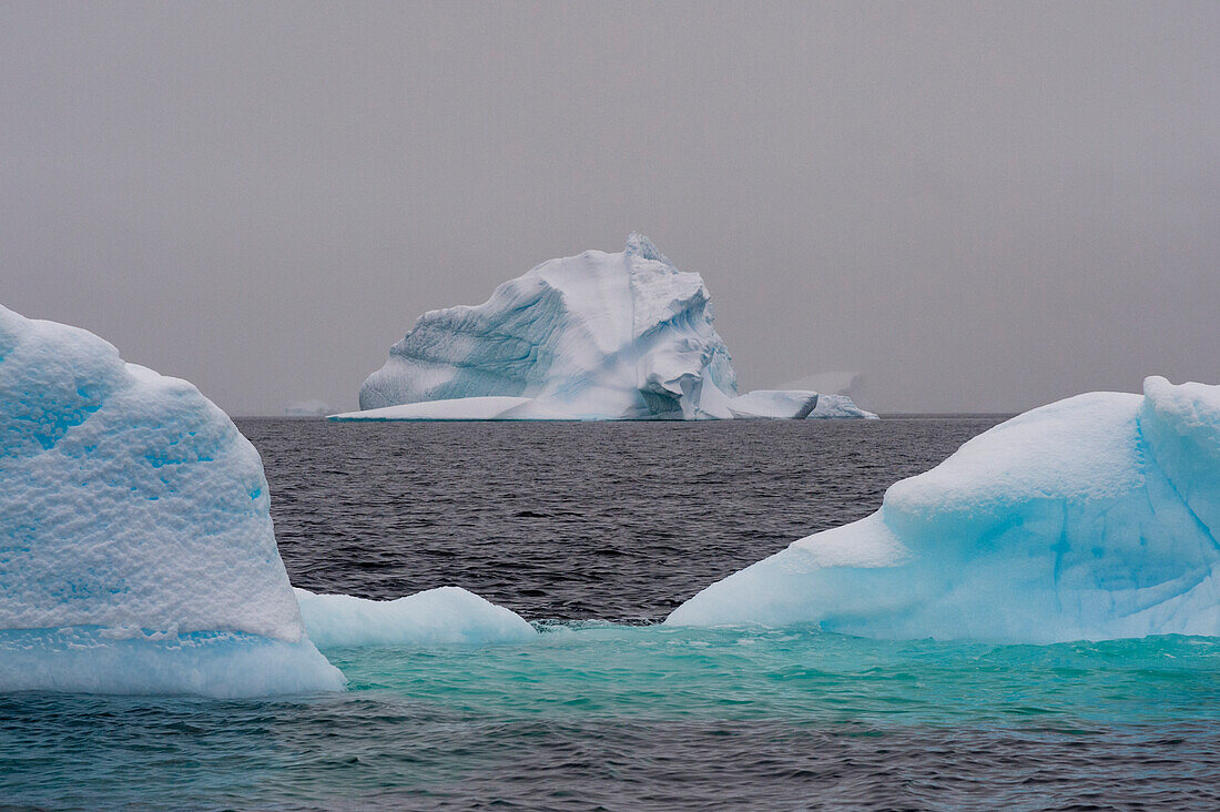 Icebergs in Portal Point, Antarctica. Antarctica.