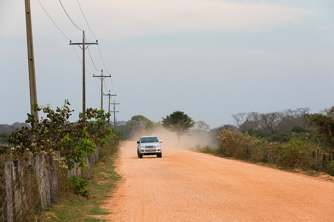 Transpantaneira-Straße, Pantanal, Mato Grosso, Brasilien.
