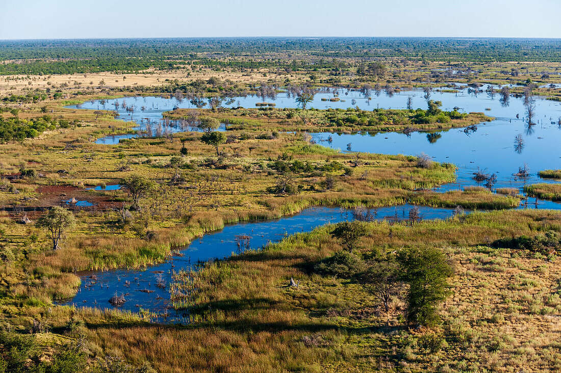 An aerial view of the Okavango Delta. Okavango Delta, Botswana.
