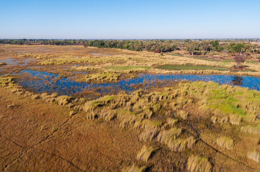 An aerial view of the Okavango Delta. Okavango Delta, Botswana.