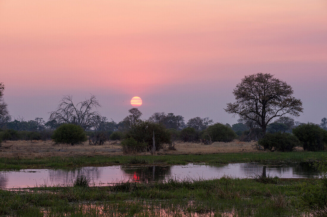 Ein wunderschöner rosa Sonnenuntergang über dem Khwai-Fluss. Khwai-Fluss, Okavango-Delta, Botsuana.