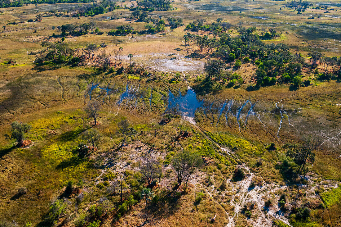 Eine Luftaufnahme des Okavango-Deltas. Okavango-Delta, Botsuana.