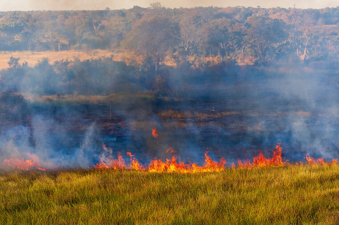 Luftaufnahme eines Buschfeuers im Okavango-Delta. Okavango-Delta, Botsuana.