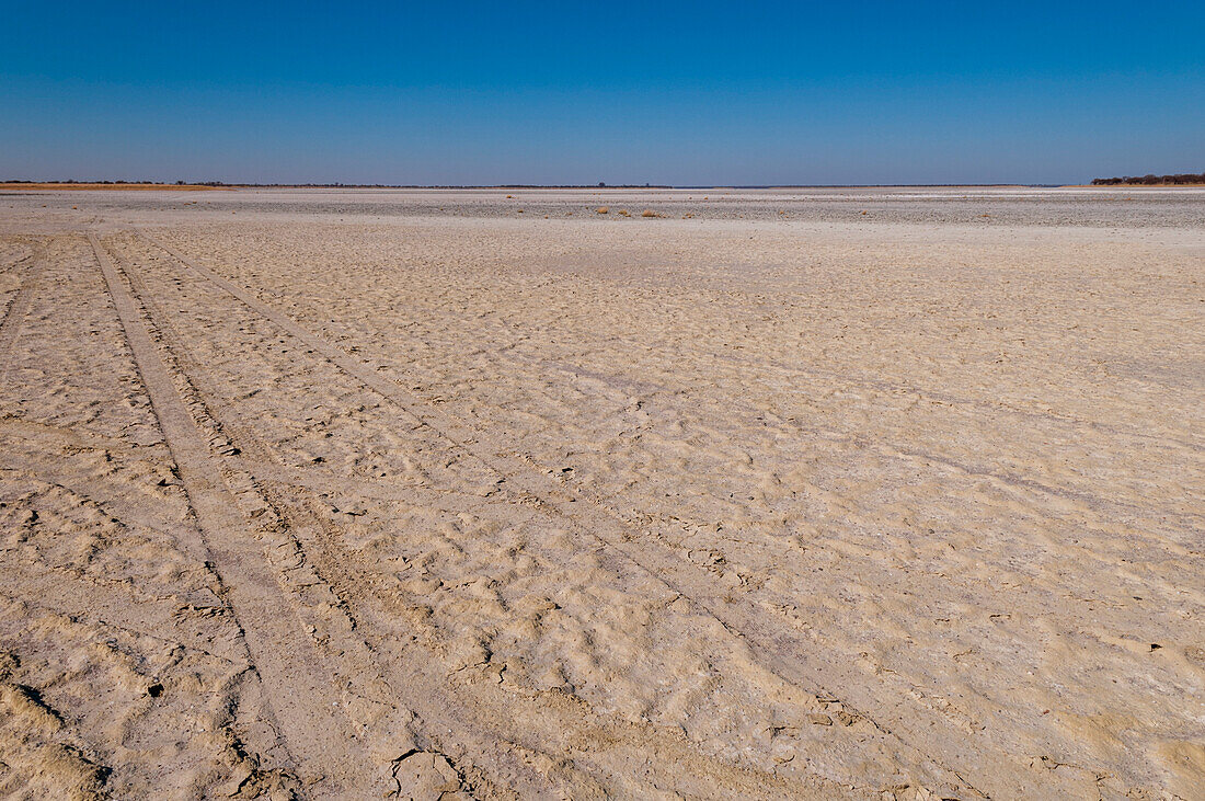 Fahrzeugspuren auf der riesigen Fläche der Kudiakam-Salzpfanne. Kudiakam-Pfanne, Nxai-Pan-Nationalpark, Botsuana.