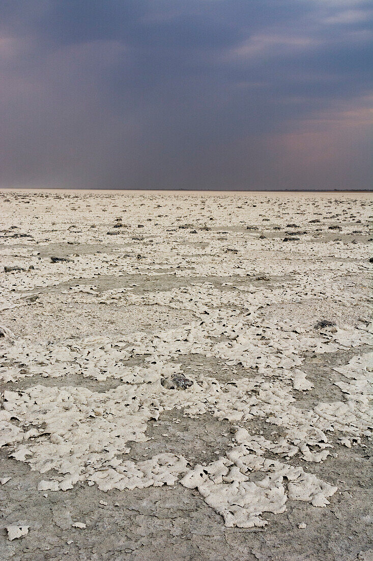 Ein Sturm nähert sich der Salzpfanne. Nxai-Pfanne, Botsuana