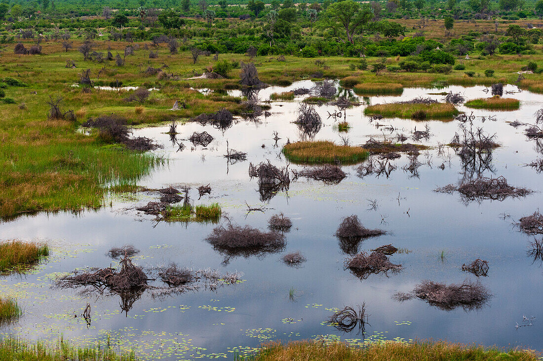 An aerial view of Okavango delta floodplains. Okavango Delta, Botswana.