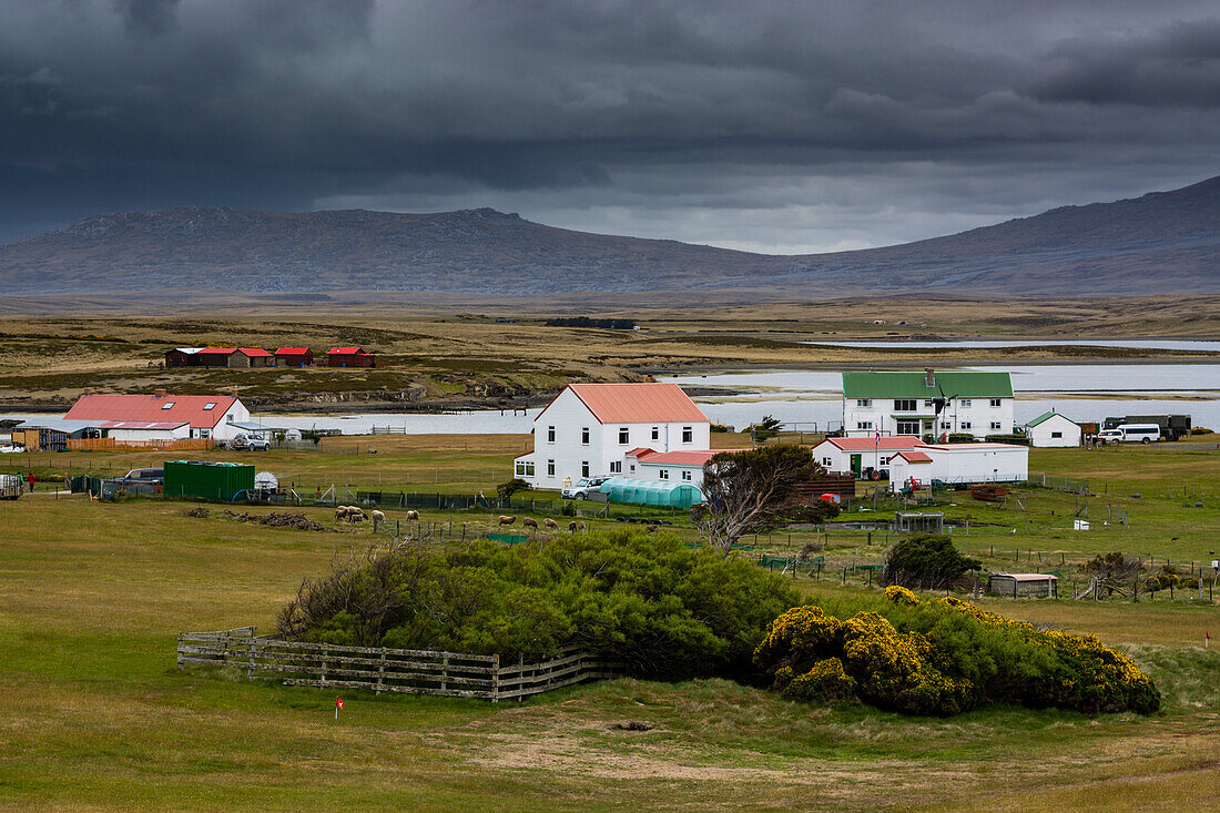 Die Siedlung Darwin in Ost-Falkland. Darwin, Falklandinseln