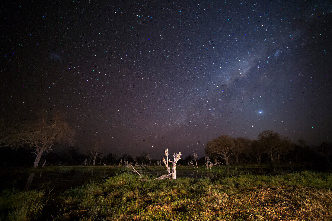 Die Milchstraße über dem Khwai-Fluss. Khwai-Konzession, Okavango-Delta, Botsuana