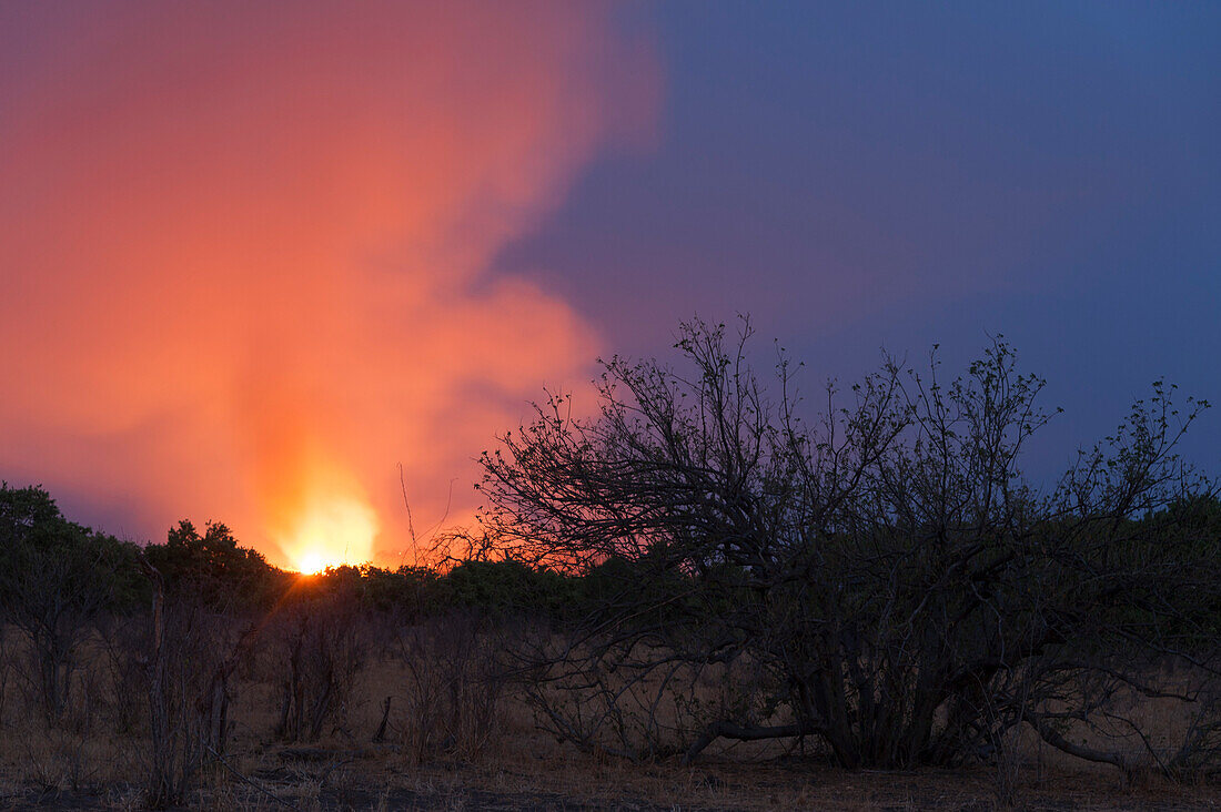 Ein Buschfeuer auf den Hügeln um das Savuti-Sumpfgebiet. Savuti, Chobe-Nationalpark, Botsuana