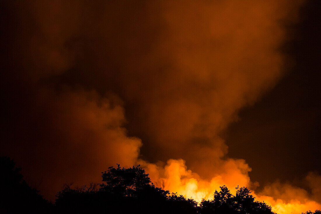 Ein Buschfeuer auf den Hügeln um den Savuti-Sumpf. Savuti, Chobe-Nationalpark, Botsuana