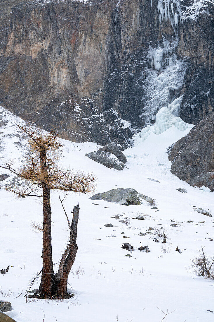 Gran-Paradiso-Nationalpark, Aostatal, Italien.