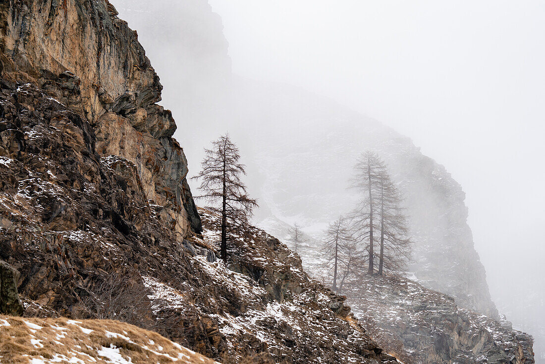 Gran Paradiso National Park, Aosta Valley, Italy.