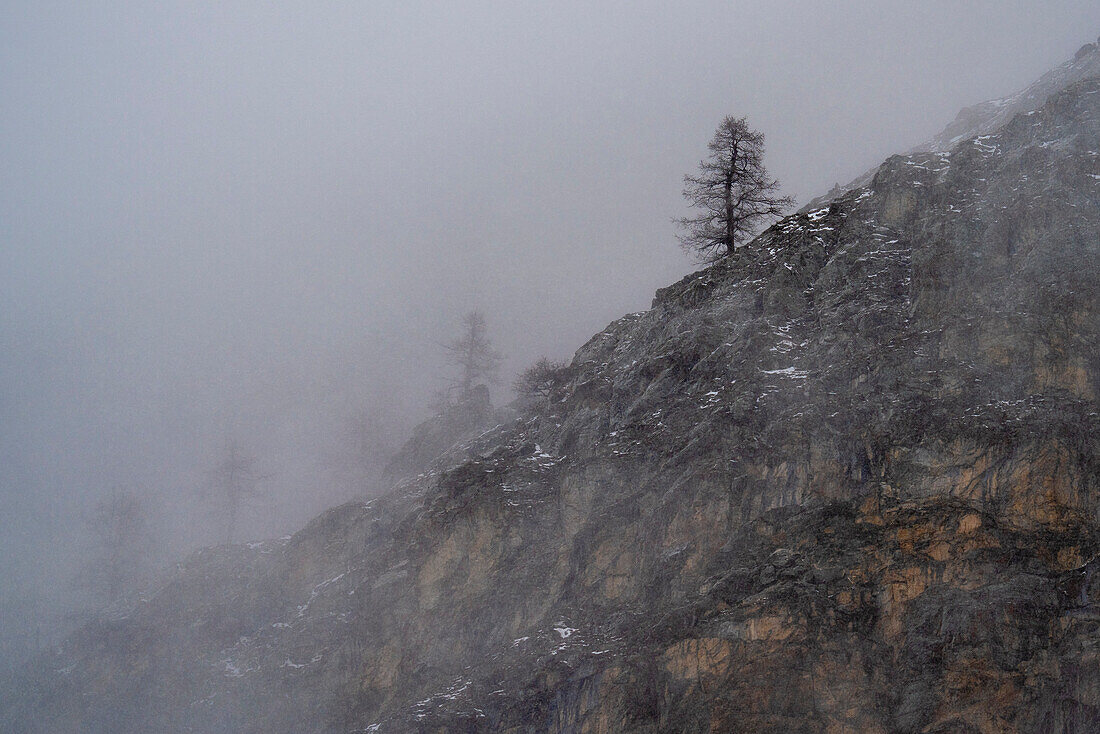 Gran-Paradiso-Nationalpark, Aostatal, Italien.