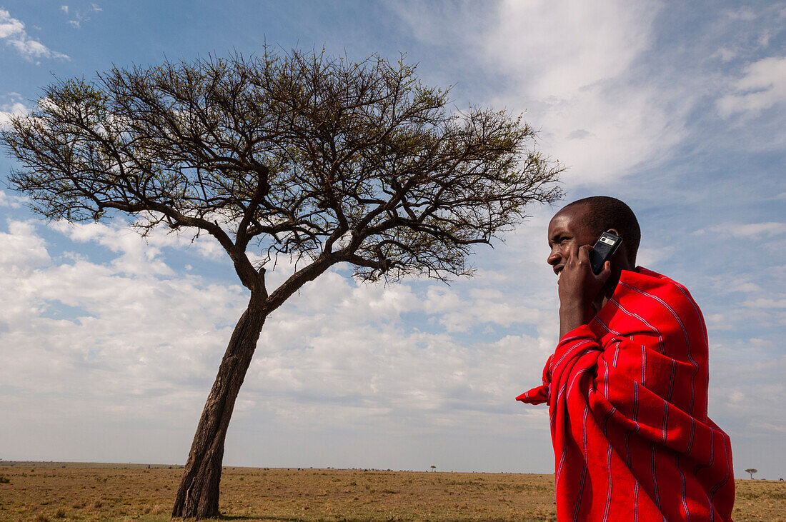 Ein Masai-Mann telefoniert mit einem Mobiltelefon in der Nähe einer Akazie. Masai Mara Nationalreservat, Kenia.