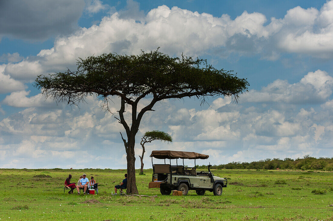 Touristen beim Mittagessen im Schatten eines Akazienbaums. Masai Mara Nationalreservat, Kenia.
