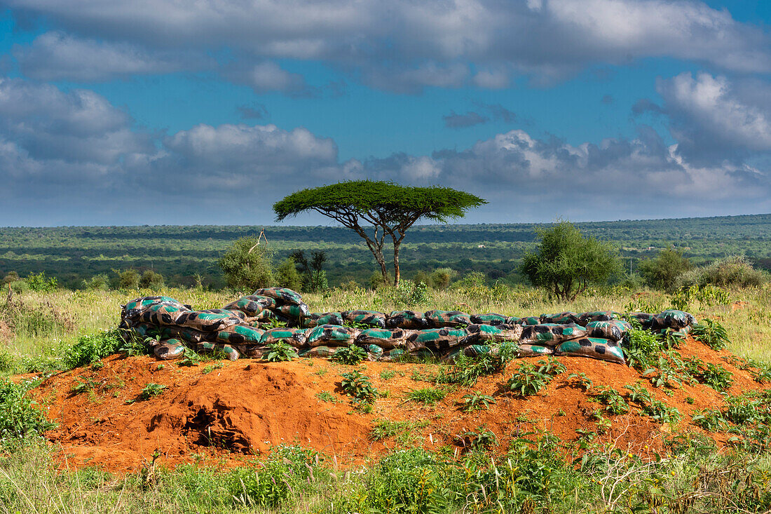 A memorial of the World War I Tsavo battlefield. Voi, Tsavo, Kenya