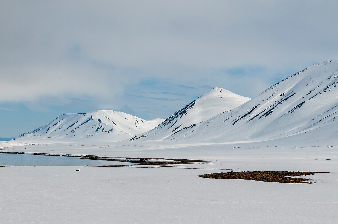Schneebedeckte Berge und der Strand von Mushamna. Mushamna, Insel Spitzbergen, Svalbard, Norwegen.