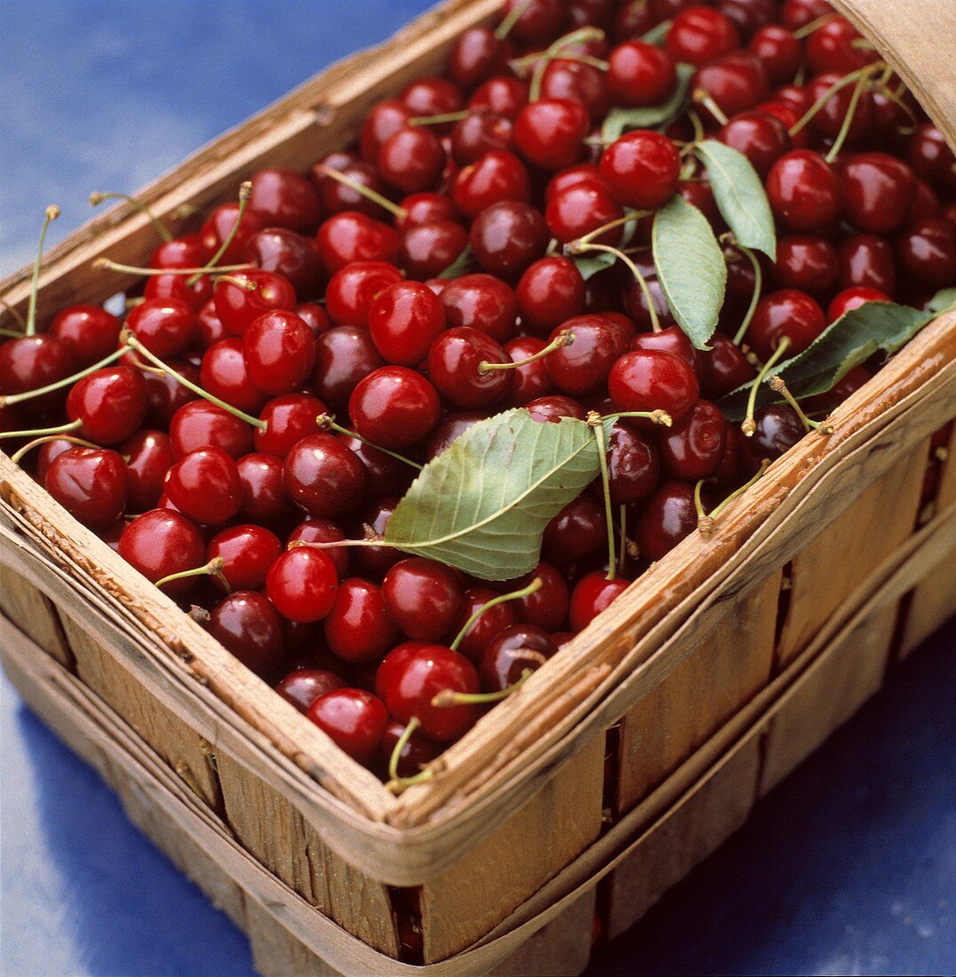 Many Red Cherries in a Basket