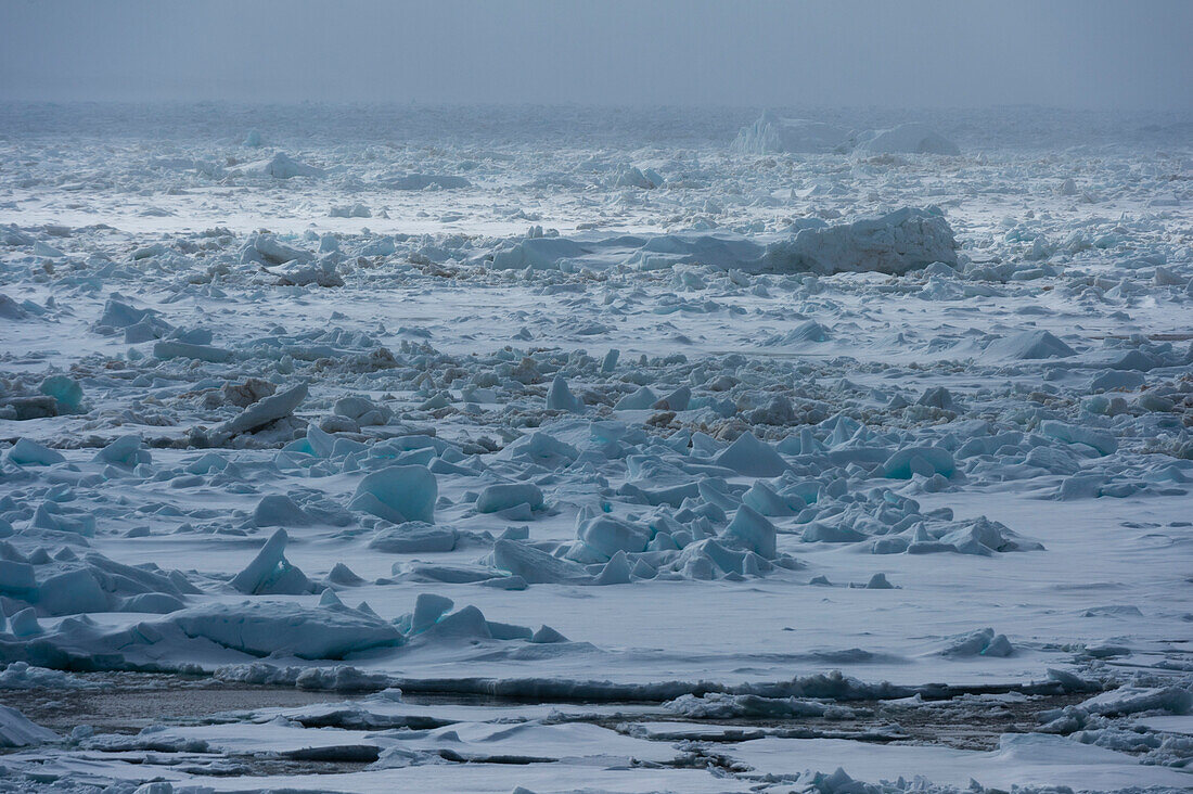 Sea ice at Wahlenberg fjord. Nordaustlandet, Svalbard, Norway