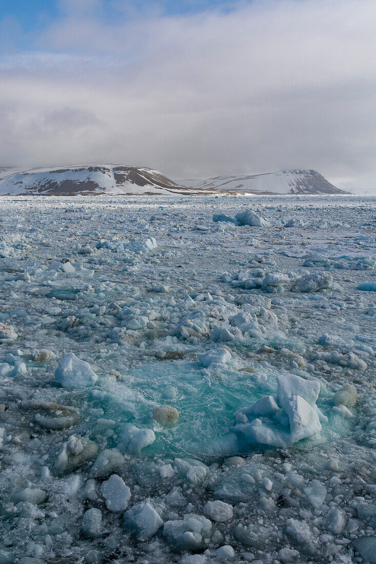 Sea ice in Wahlenberg fjord. Nordaustlandet, Svalbard, Norway