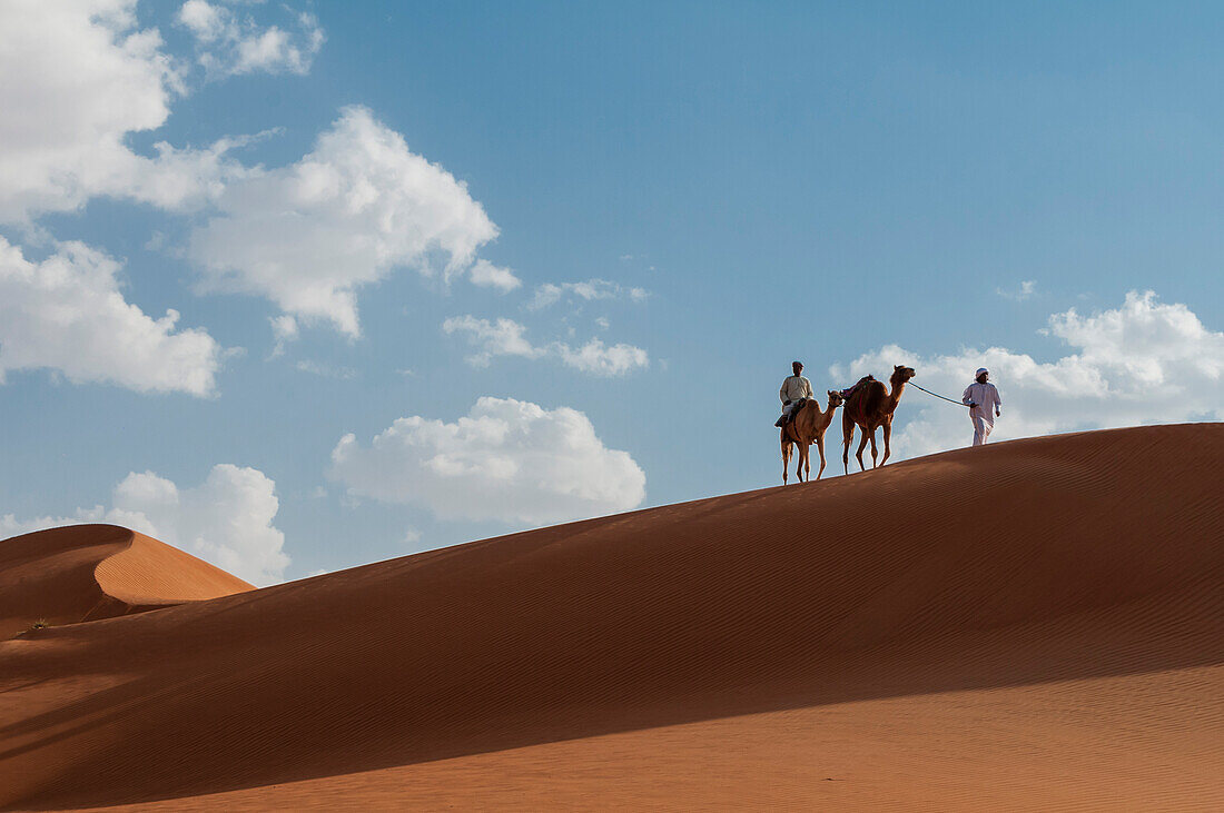 Ein Beduine führt ein Kamel, während ein anderer auf dem Kamm einer Wüstensanddüne reitet. Wahiba-Sand, Oman.