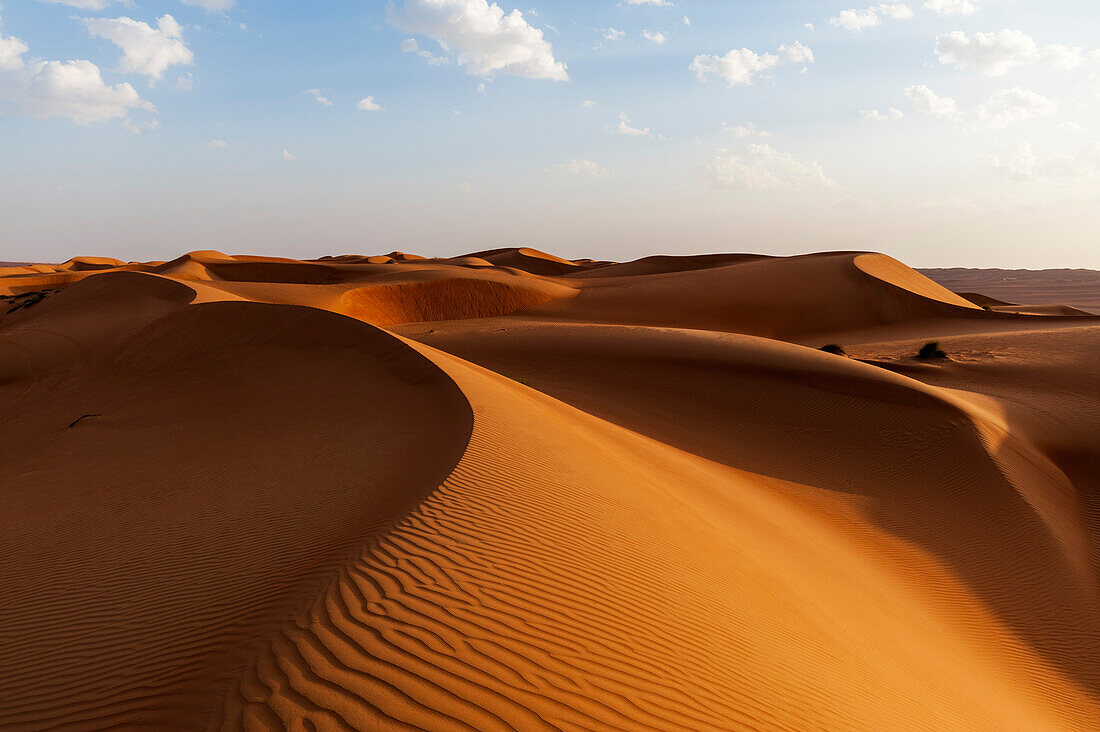 Eine Wüstenlandschaft mit vom Wind geformten und gekräuselten Sanddünen. Wahiba Sands, Oman.