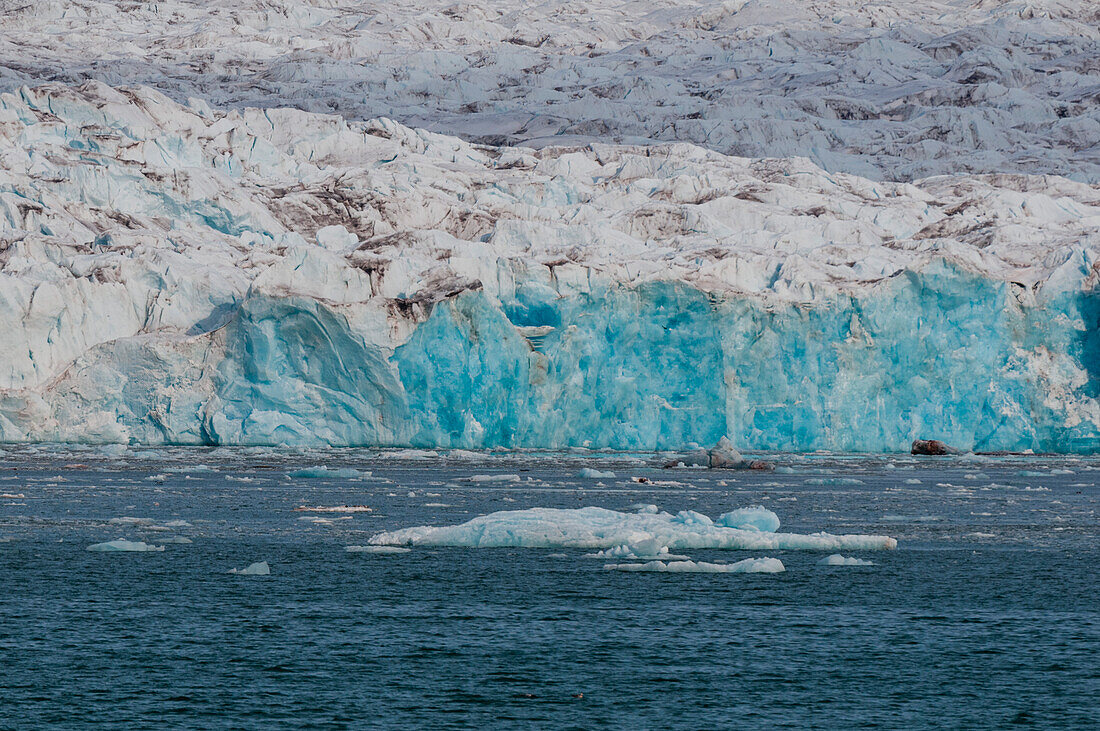 Walruses in the distance on ice floe fronting a glacier on Kongsfjorden near Ny-Alesund. Kongsfjorden, Spitsbergen Island, Svalbard, Norway.