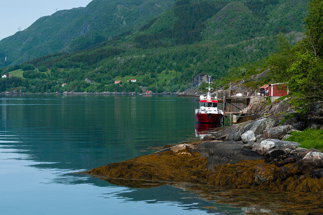 Boote an der Küste des Holandsfjorden in der Nähe des Svartisen-Gletschers. Holandsfjord, Svartisen, Norwegen.