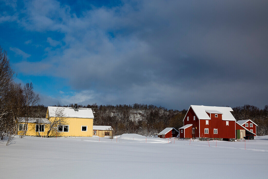 Houses in a snowy landscape near Narvik. Narvik, Troms, Norway.