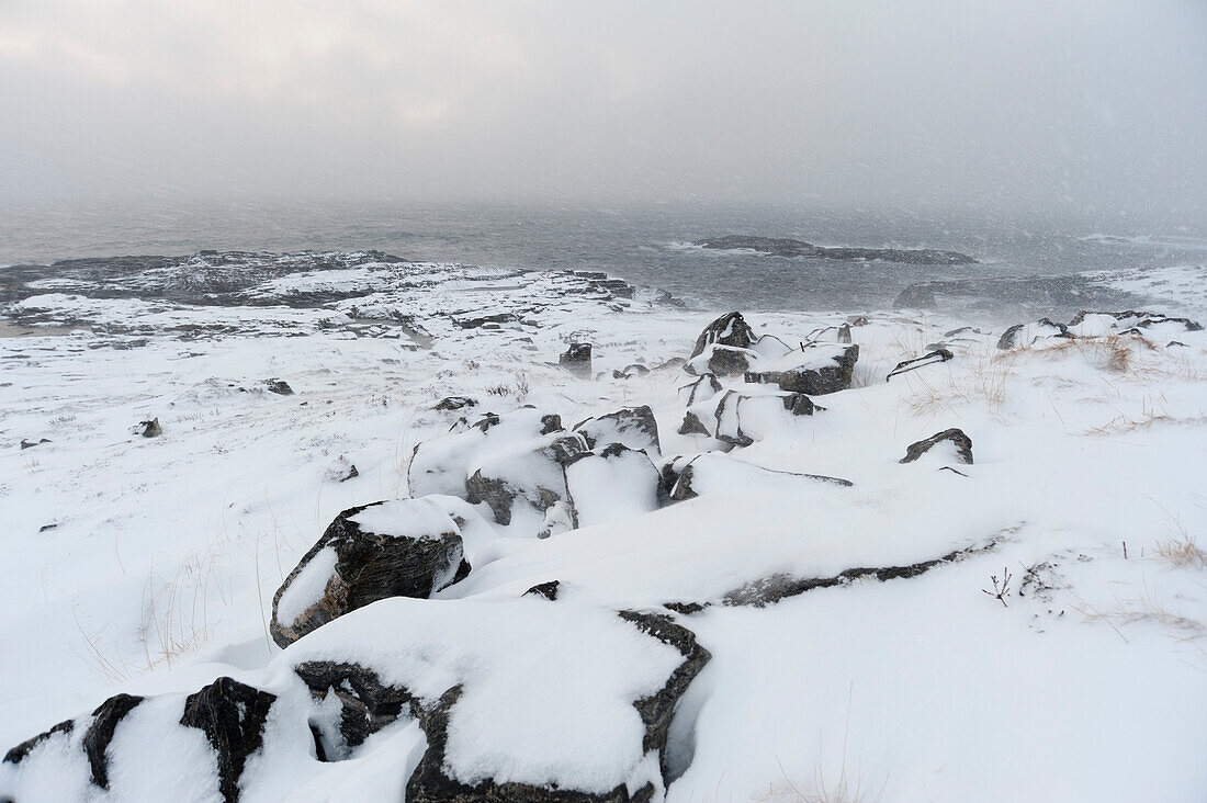 Ein Schneesturm an der Küste bei Nordmela. Nordmela, Vesteralen-Inseln, Nordland, Norwegen.
