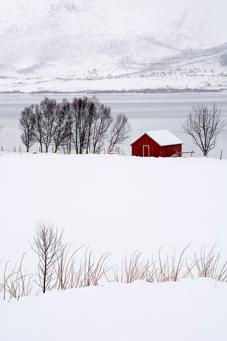 Ein einsames rotes Haus in einer verschneiten Winterlandschaft. Fornes, Vesteralen-Inseln, Nordland, Norwegen.