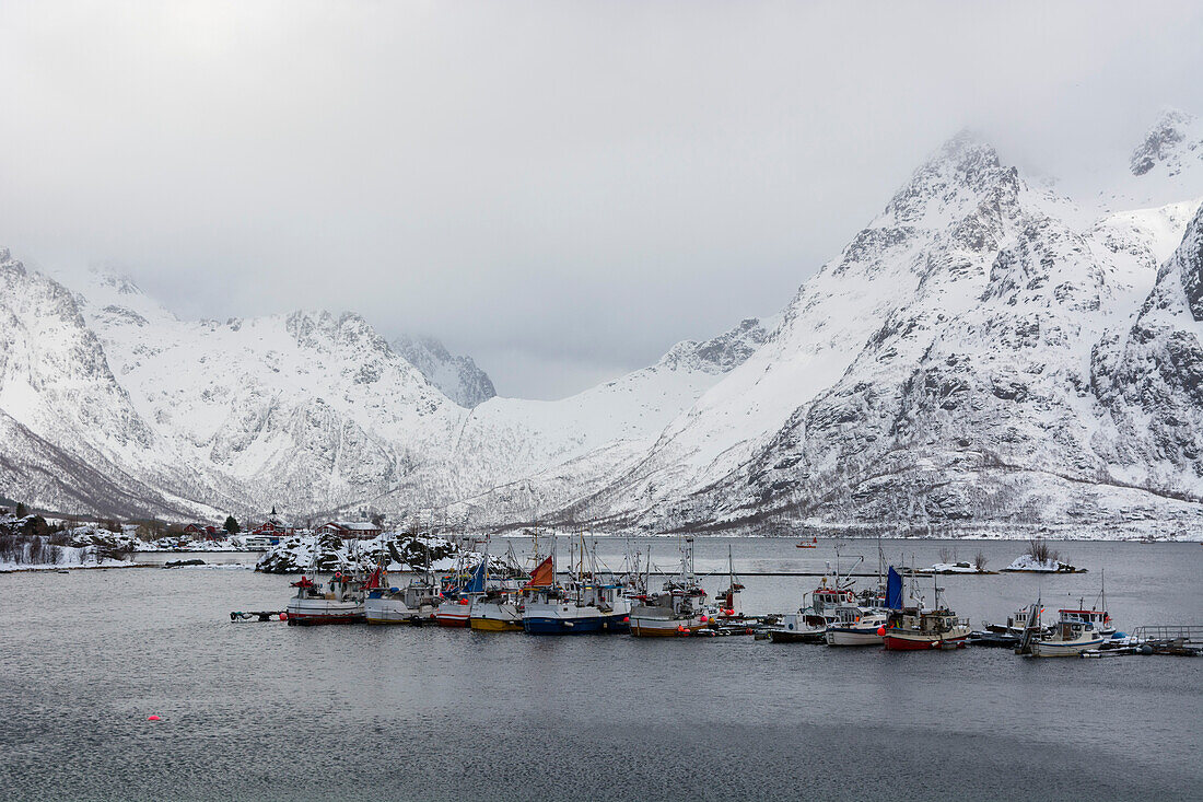 A harbor in Austnes Fjord and snow-covered mountains. Austnes Fjord, Lofoten Islands, Nordland, Norway.