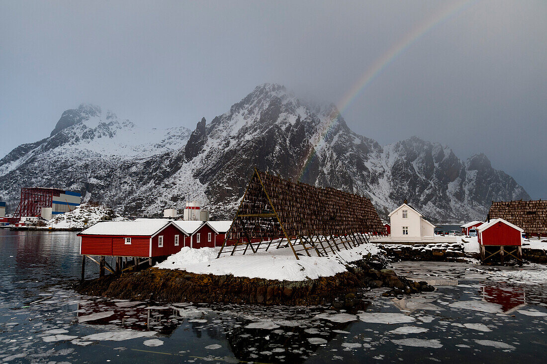 Rote Häuser und Kabeljau auf einem Trockengestell unter einem Regenbogen. Svolvaer, Lofoten-Inseln, Nordland, Norwegen.