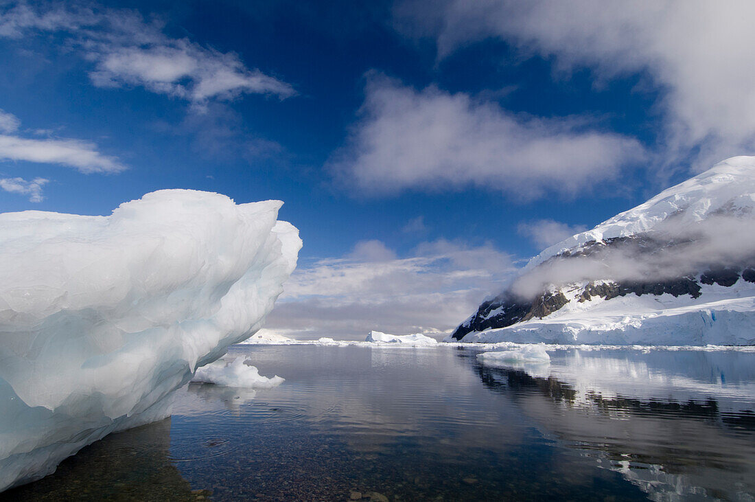 Antarctica, Antarctic Peninsula, Gerlache strait, Neko Harbor.