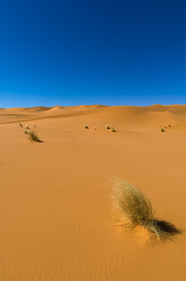 Sanddünen in der Wüste Sahara. Akakus, Fezzan, Libyen
