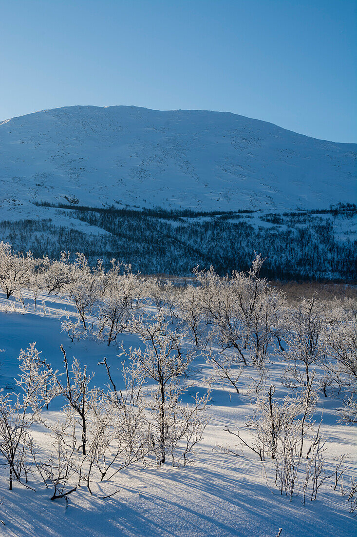 Frozen landscape near Kiruna, Sweden. Sweden.