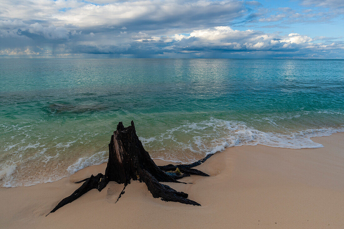 Ein verrottender Baumstumpf an einem Sandstrand unter einem dramatisch bewölkten Himmel. Denis-Insel, Die Republik der Seychellen.