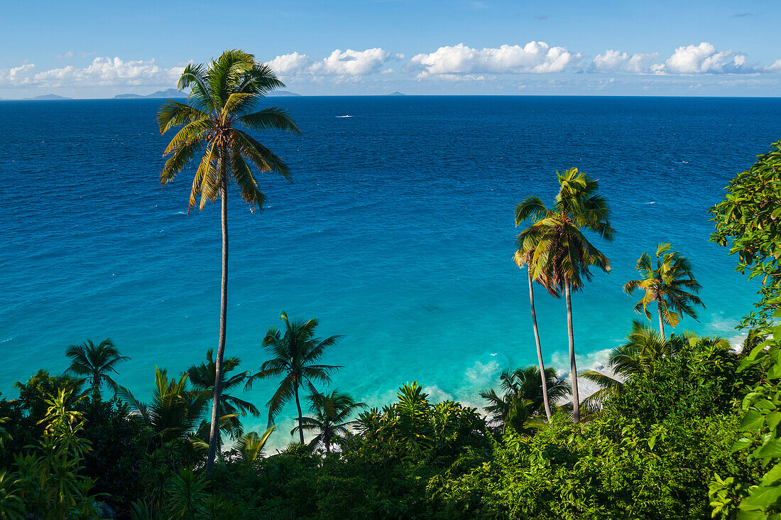 Ein Blick von oben auf Palmen und tropische Vegetation an einem Strand im Indischen Ozean. Insel Fregate, Die Republik der Seychellen.