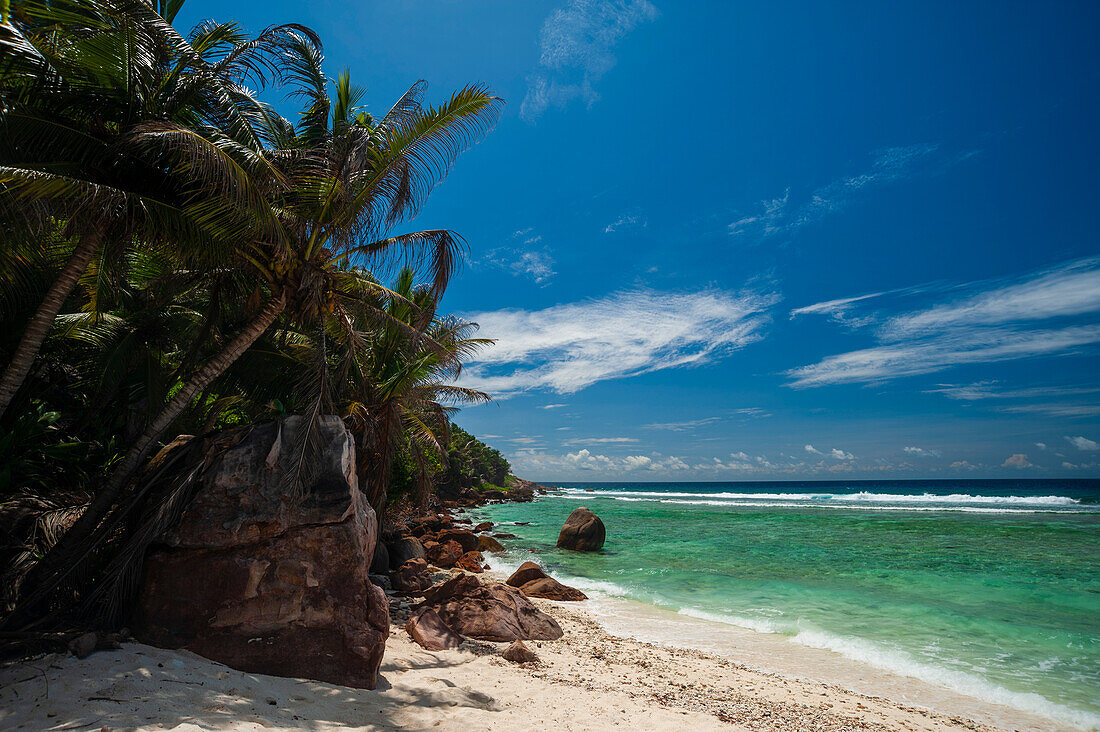 Palm trees and a boulder-strewn beach on the Indian Ocean. Grand Anse Beach, Fregate Island, Republic of the Seychelles.