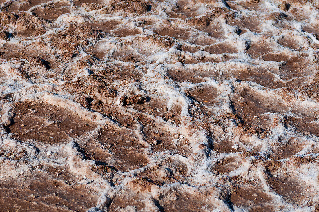 Nahaufnahme von verkrusteter Erde in der Salzpfanne von Badwater Basin. Death-Valley-Nationalpark, Kalifornien, USA.