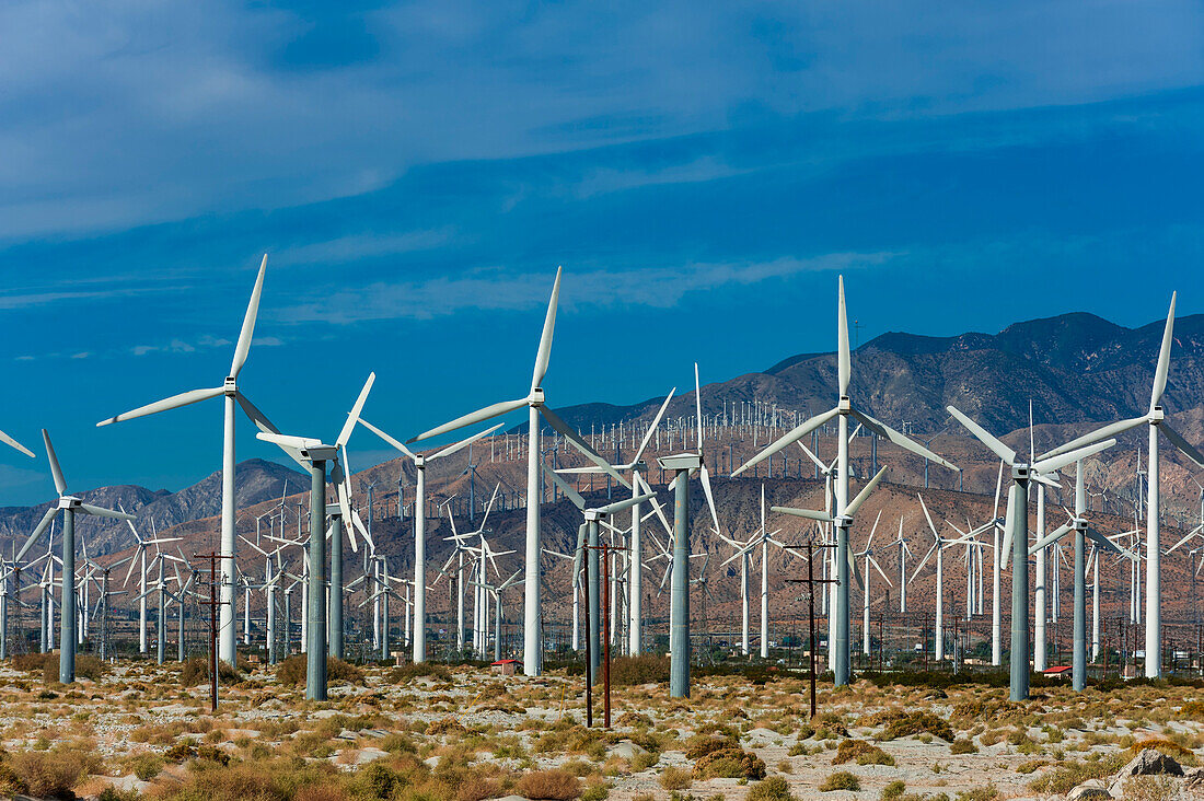 A wind farm in the San Gorgonio Pass near Palm Springs. San Gorgonio Pass, San Jacinto Mountains, Riverside County, California, USA.