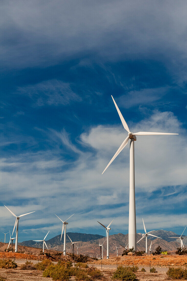 Rows of windmills on a wind farm. Palm Springs, California.