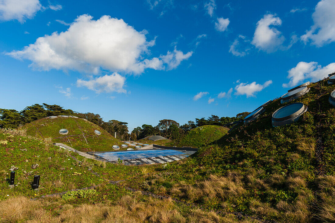 The living green, landscaped roof of the California Academy of Sciences. California Academy of Sciences, Golden Gate Park, San Francisco, California.