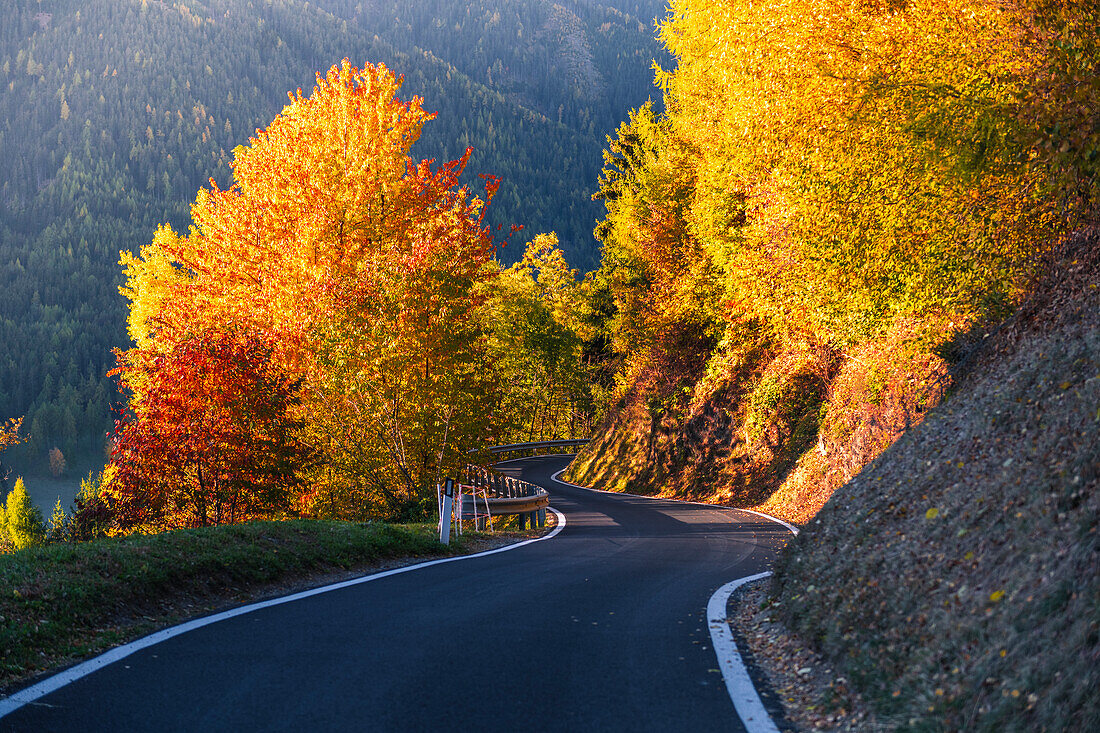 Von Bäumen umgebene Alpenstraße im Funes-Tal im Herbst. Fünser Tal, Südtirol, Italien