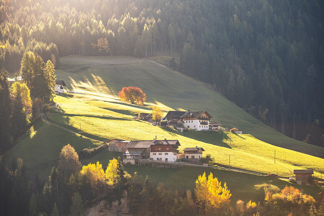 Blick auf das Dorf Santa Magdalena, Fünsertal, Südtirol, Italien