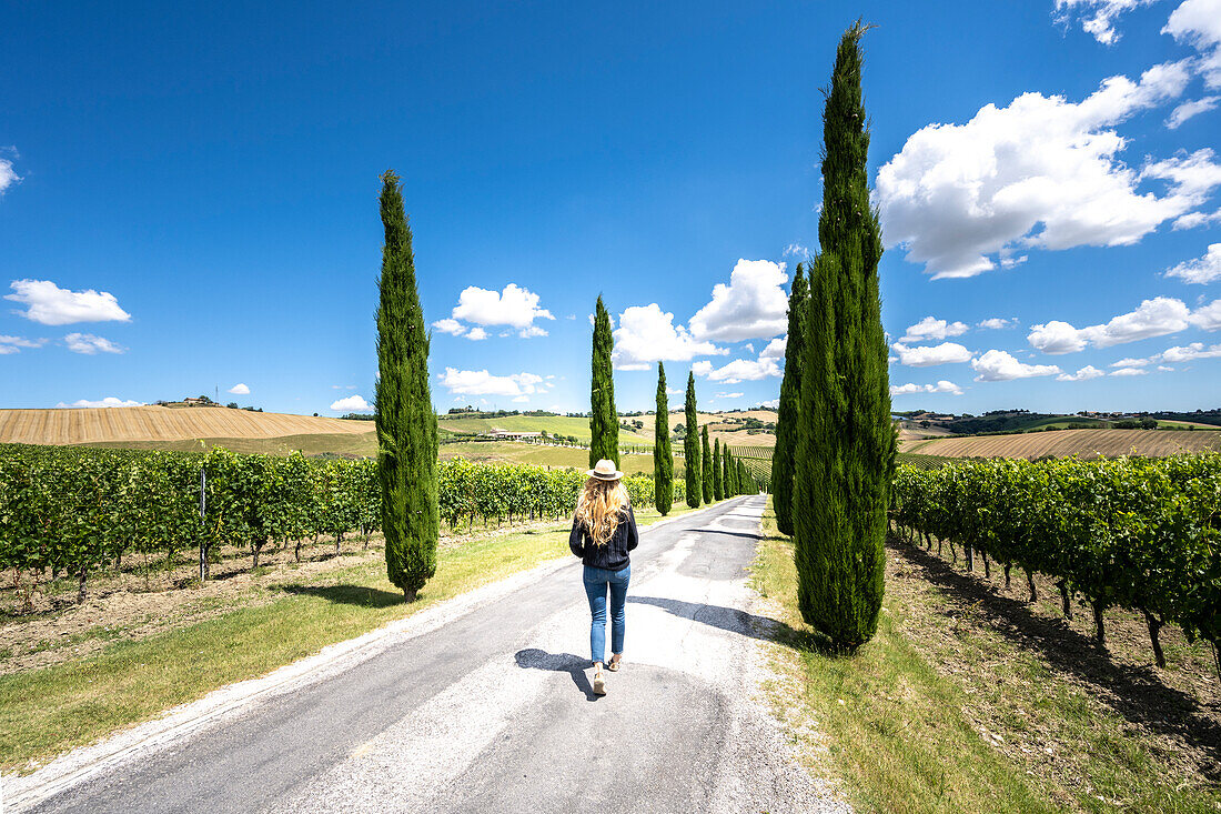 A girl walking under the sun into wineyards landscape near Macerata, Marche region, Italy.