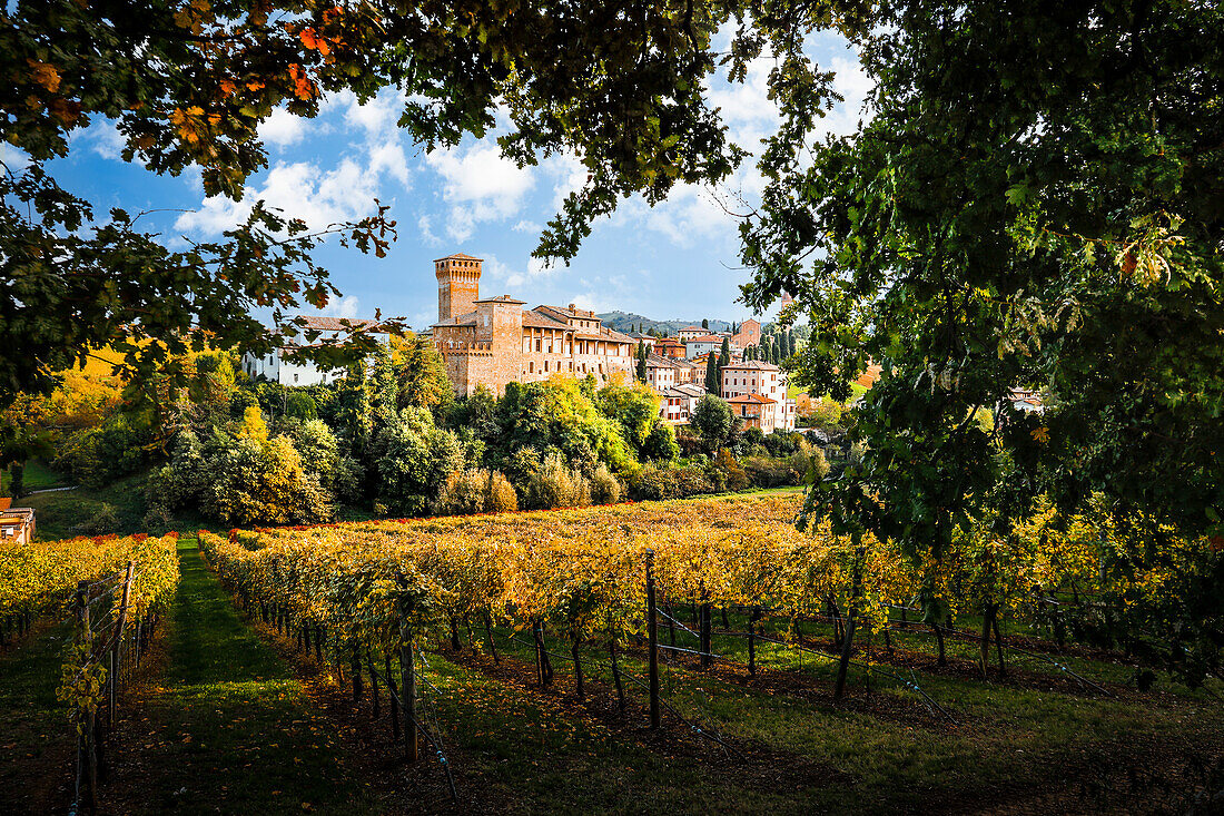 Levizzano Rangone castle and Lambrusco vineyards, Modena province, Emilia Romagna, Italy
