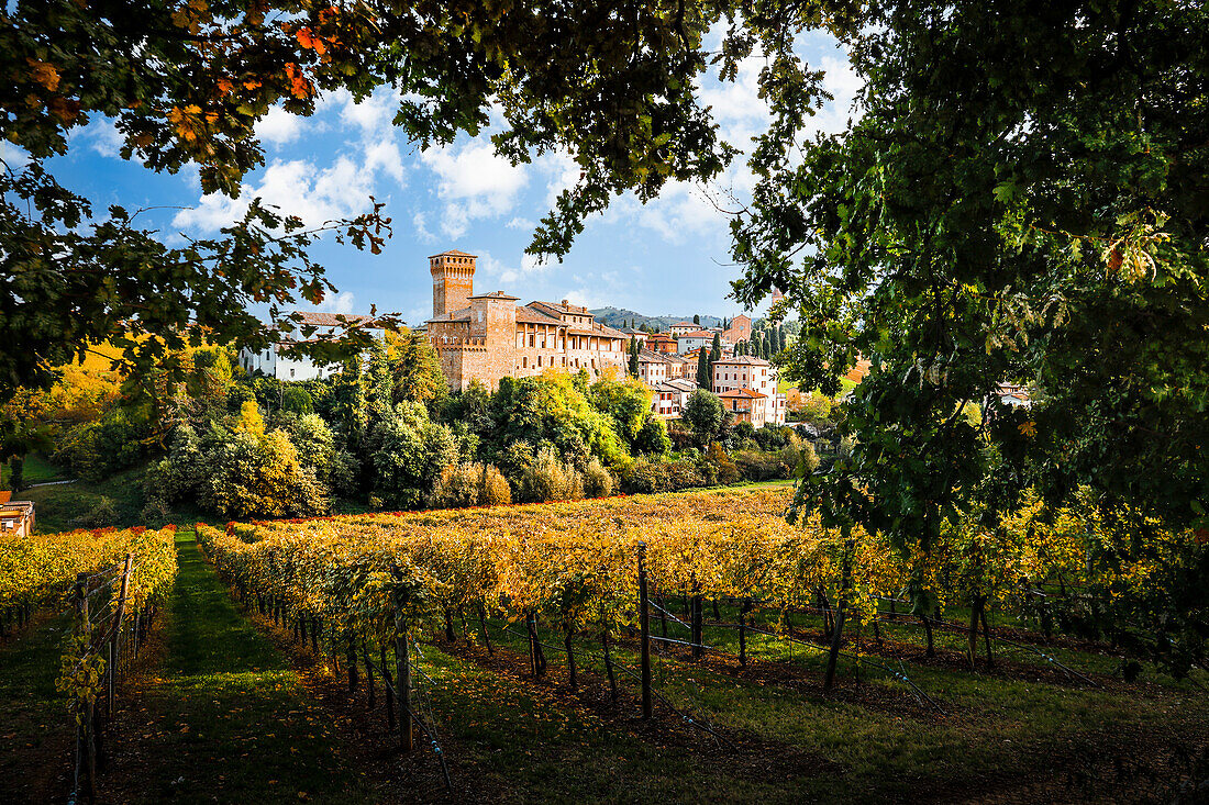 Schloss Levizzano Rangone und Lambrusco-Weinberge, Provinz Modena, Emilia Romagna, Italien