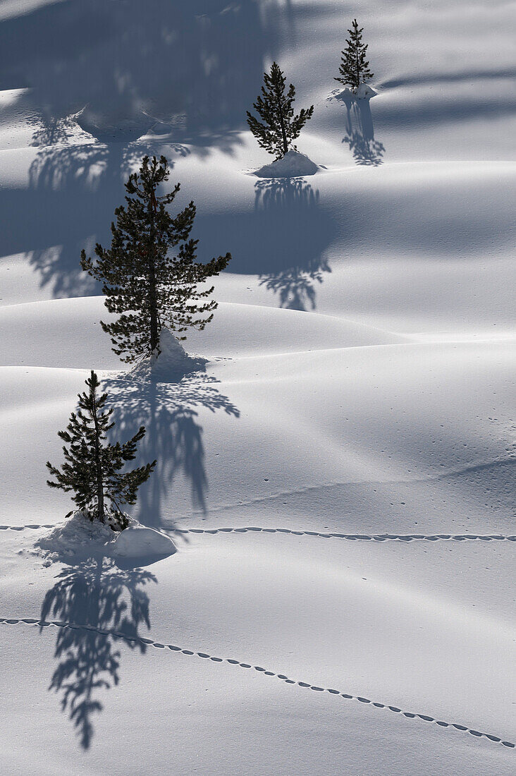 nach starken Schneefällen ist die Landschaft mit neuen Szenarien von wechselnden Schatten und Lichtern in Val Salata, Dolomiten, Provinz Belluno, Venetien, Italien, Europa geschmückt