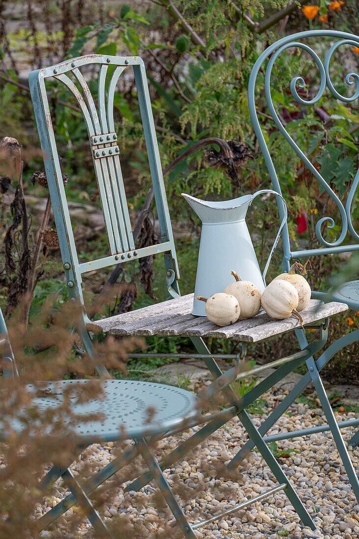 Autumn still life, ornamental pumpkins on garden chairs and water jug